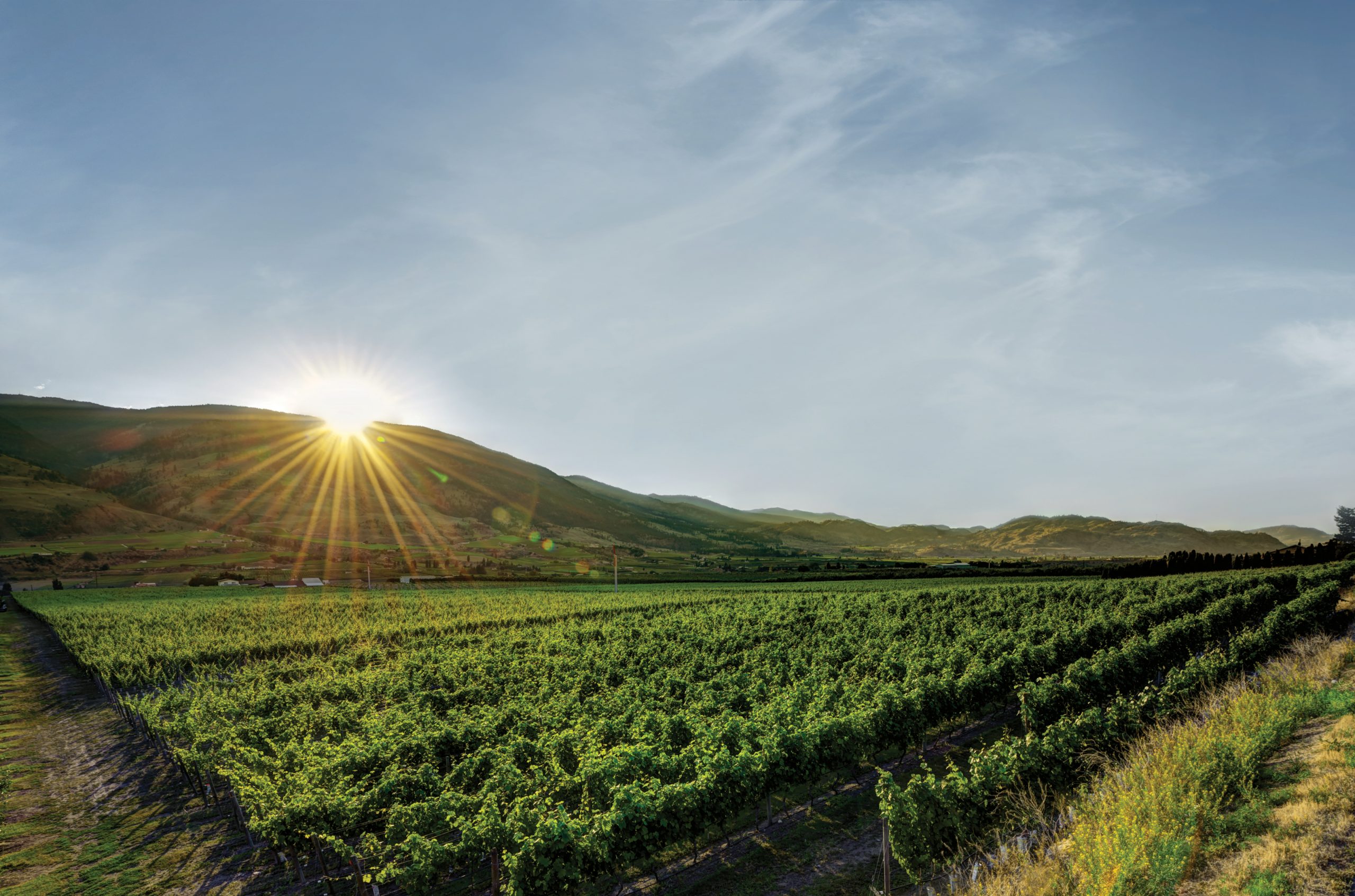 Bartier Bros. Winery winery image