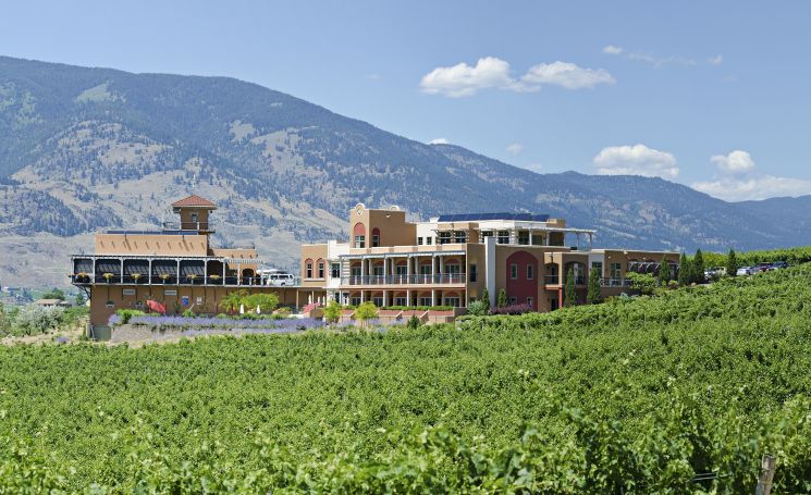 Burrowing Owl Estate Winery winery image