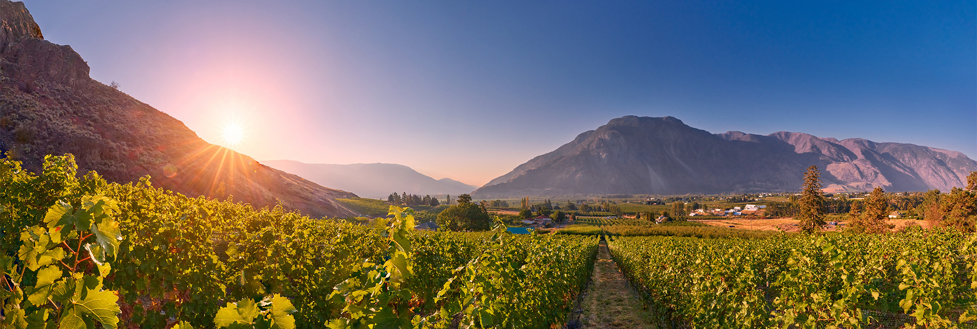 Clos du Soleil winery image