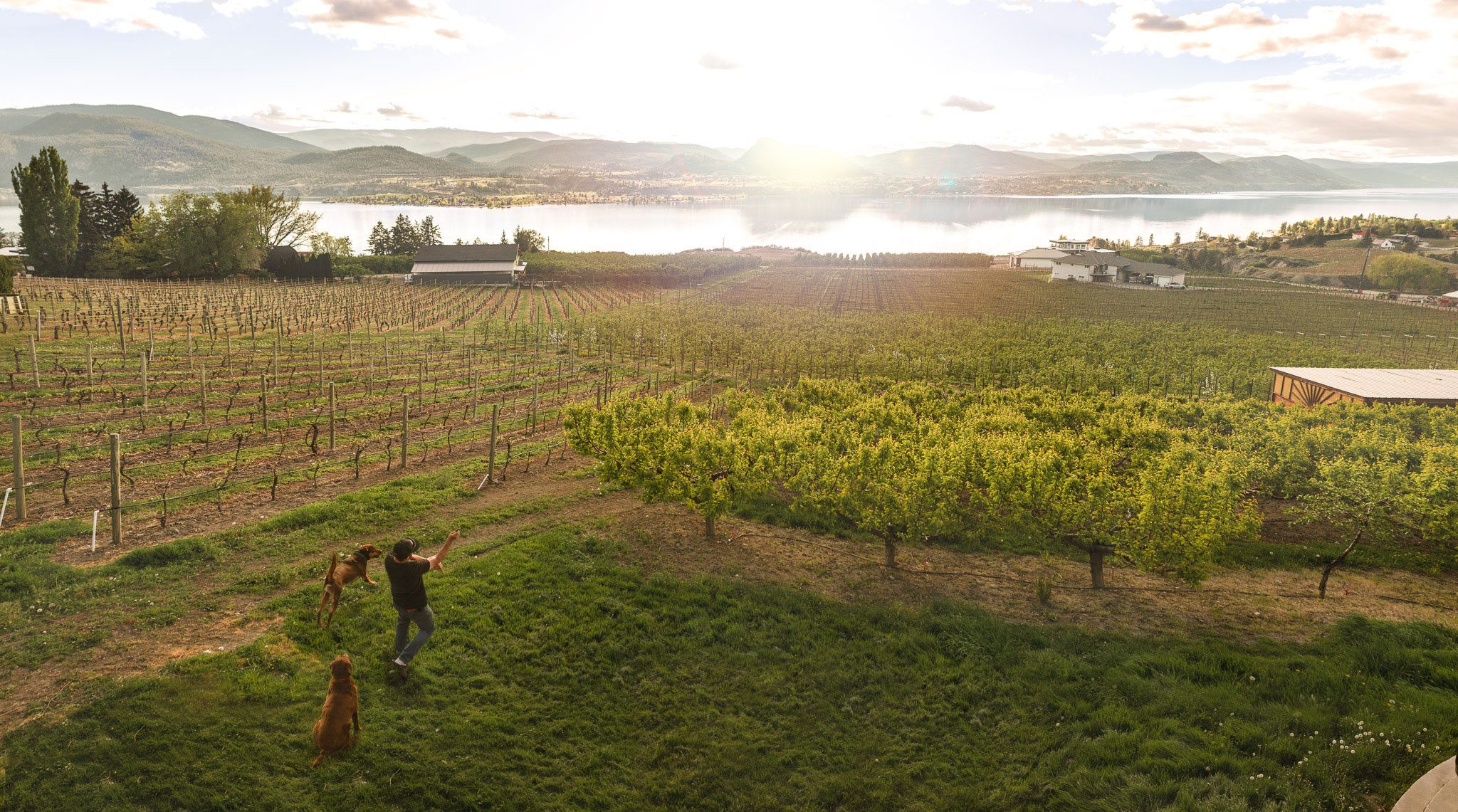 Elephant Island Winery winery image