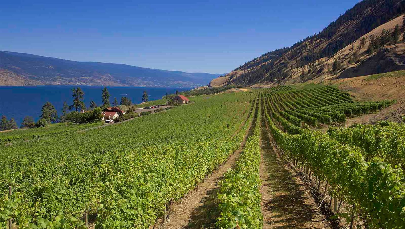 Fitzpatrick Family Vineyards winery image
