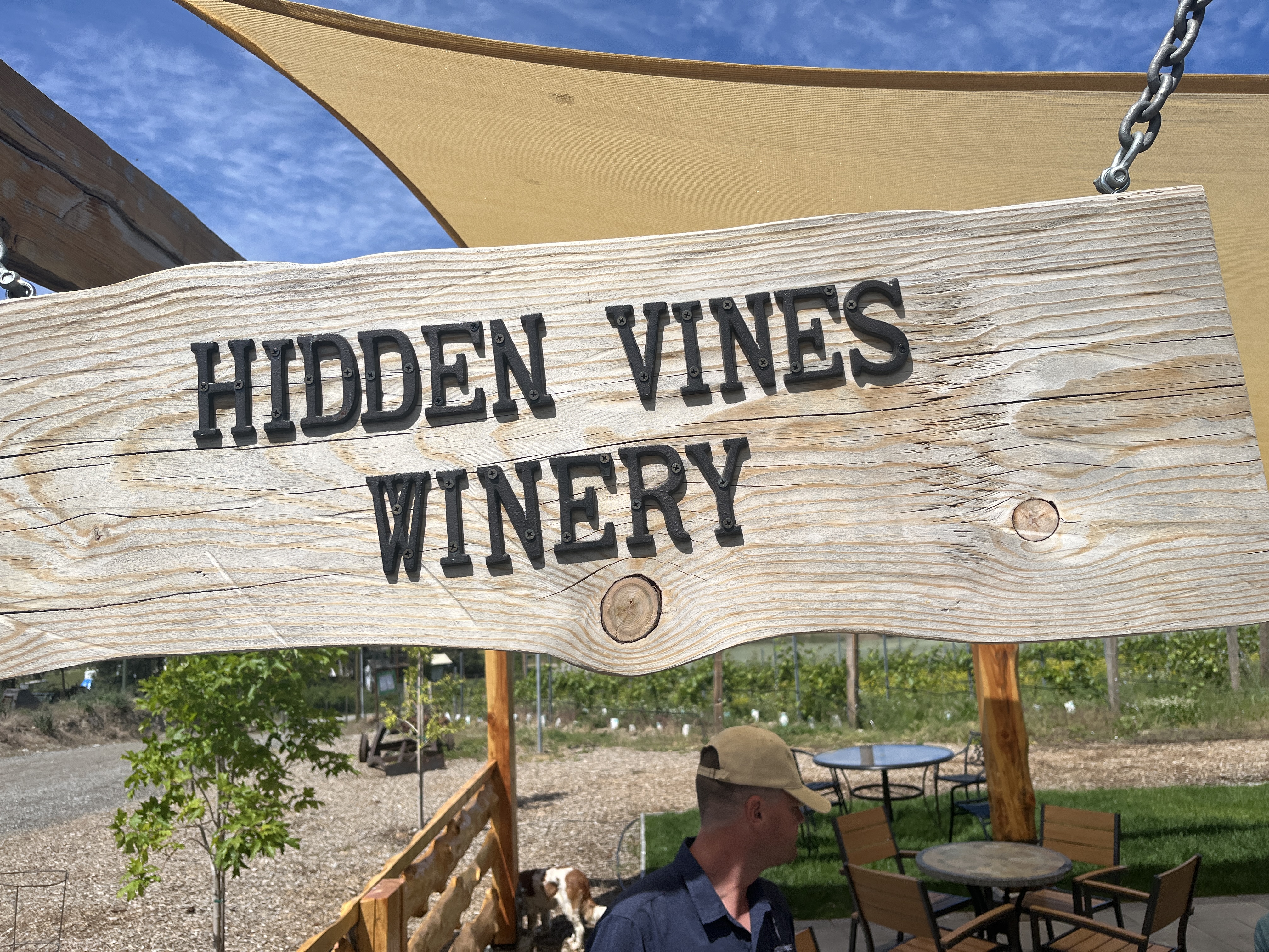 Hidden Vines Family Estate Winery winery image
