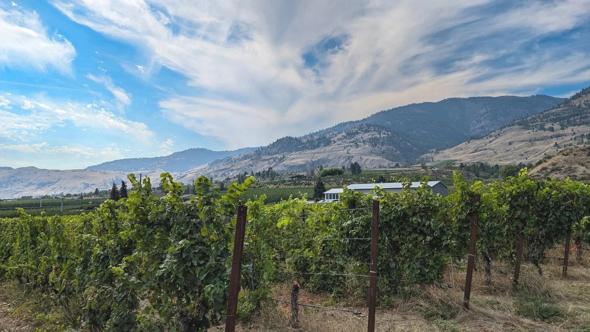 Intersection Estate Winery winery image