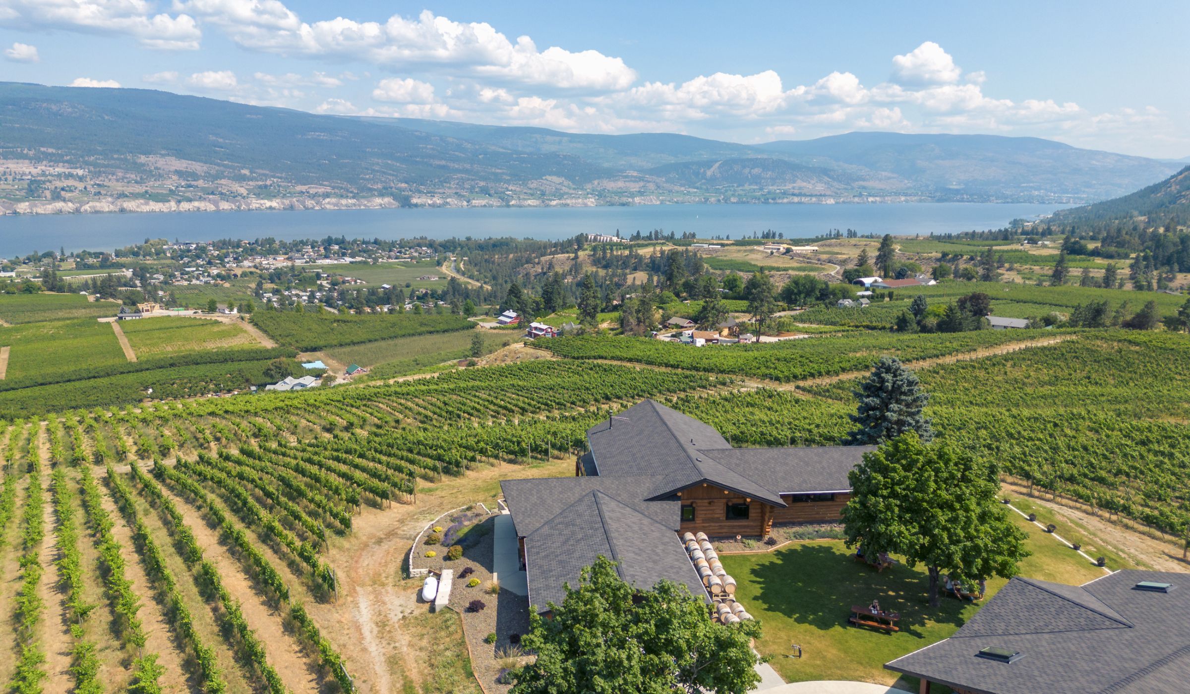 Lightning Rock Winery winery image