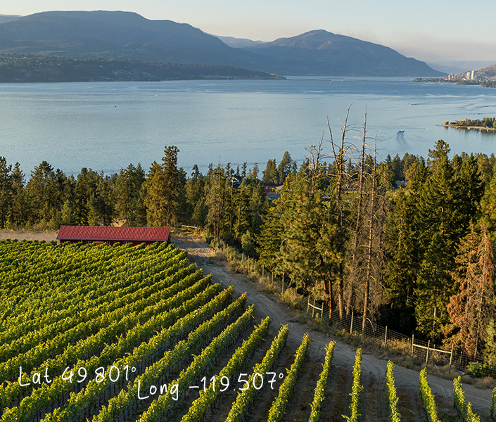 Martin's Lane Winery winery image