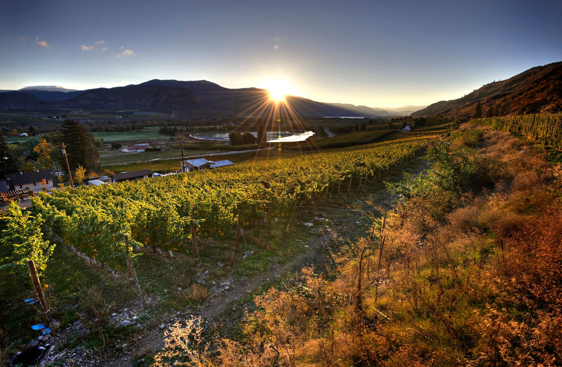 Maverick Estate Winery winery image