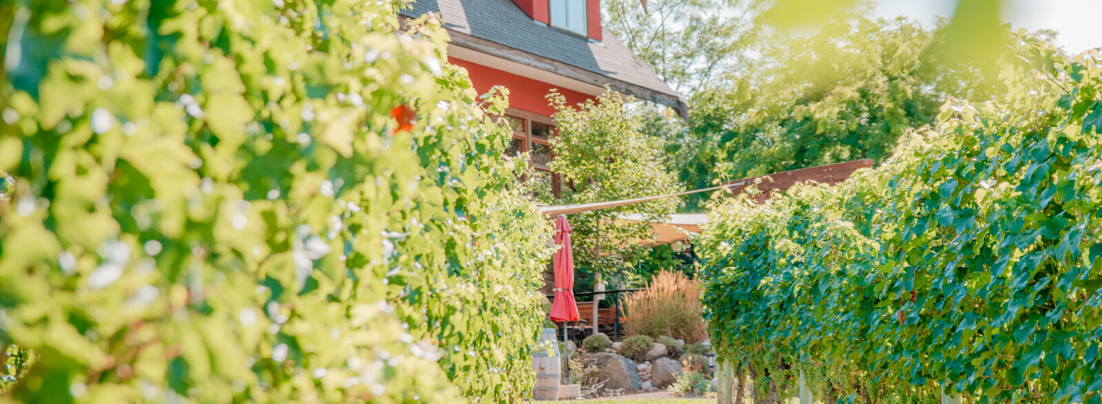 River Stone Estate Winery winery image