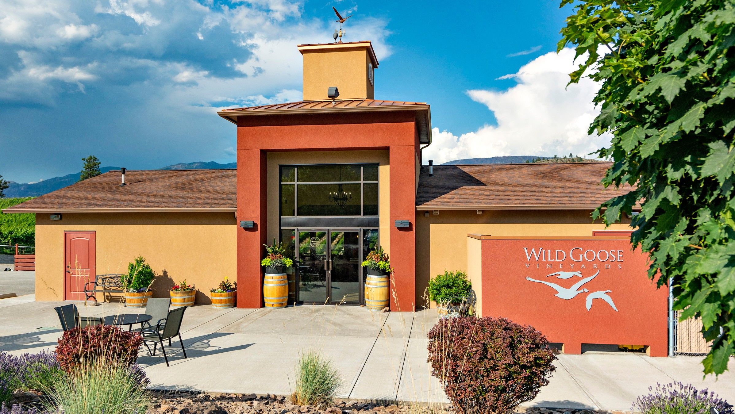 Wild Goose Vineyards winery image